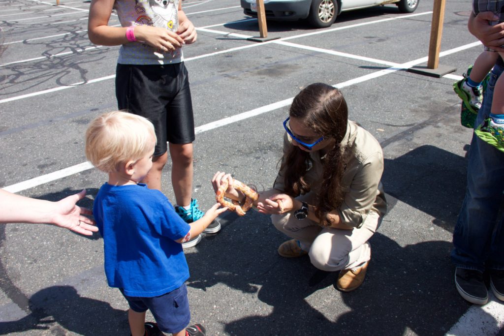 Kid holding snake at Kids Safety Expo