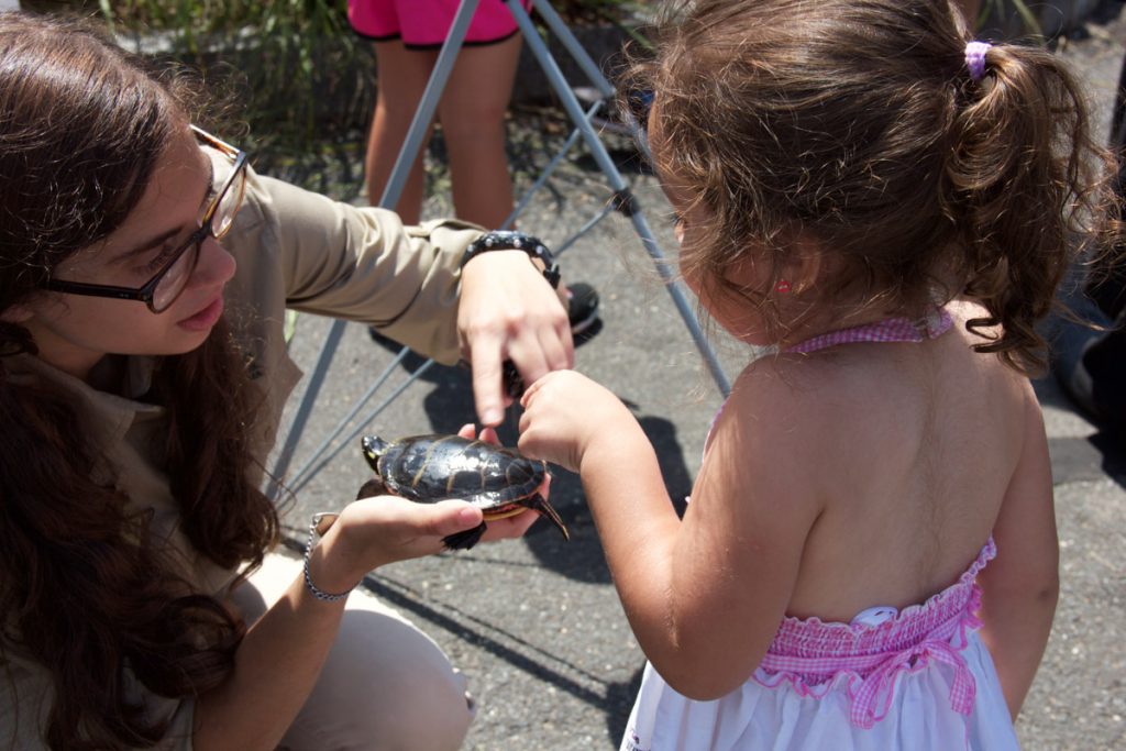 Petting turtles at Kids Safety Expo
