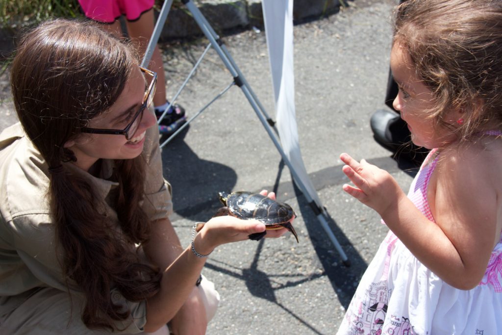 Kids and turtles at Kids Safety Expo