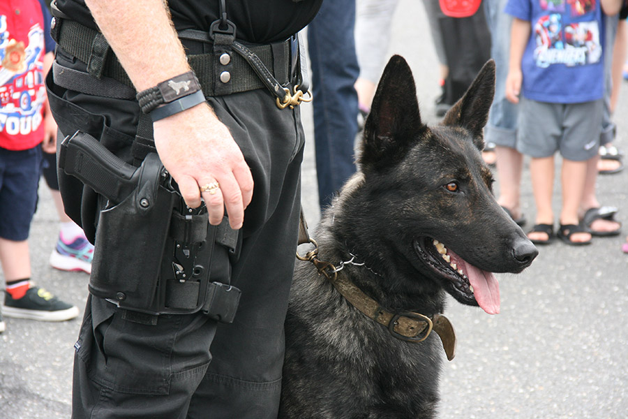 Police K9 at Kids Safety Expo 2018