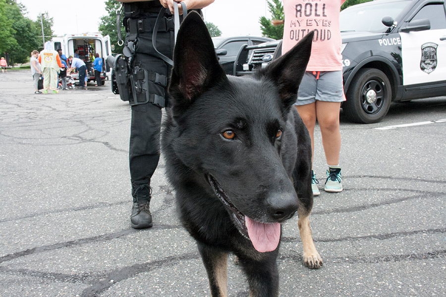 police dog at Kids Safety Expo 2018
